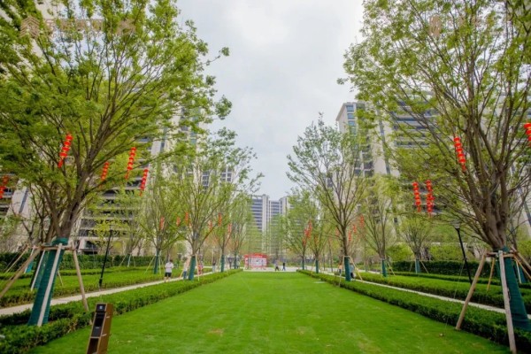 1700018420435851.jpg 圖片 3.JPG